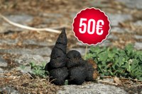 50€ le caca de chien : sanctions doublées pour les déchets sauvages